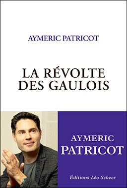 La revolte des Gaulois